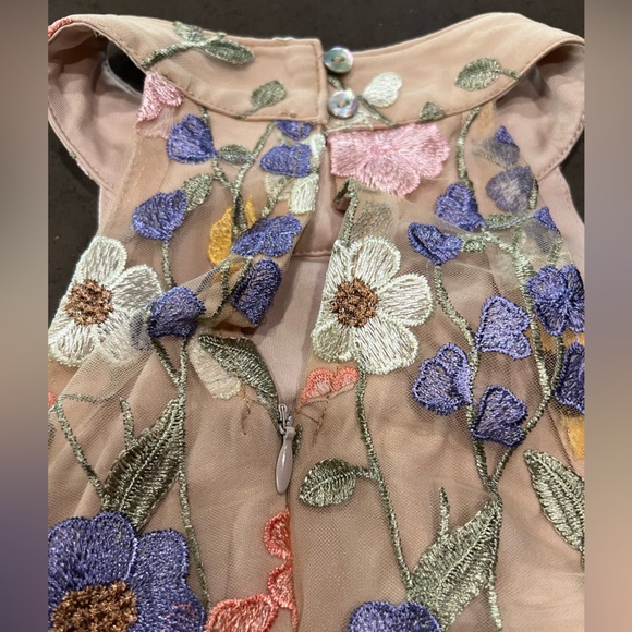 NWT 3-Dimensional Embroidered Floral Sheer Halter Mini Dress Sz: XS - Picture 11 of 16